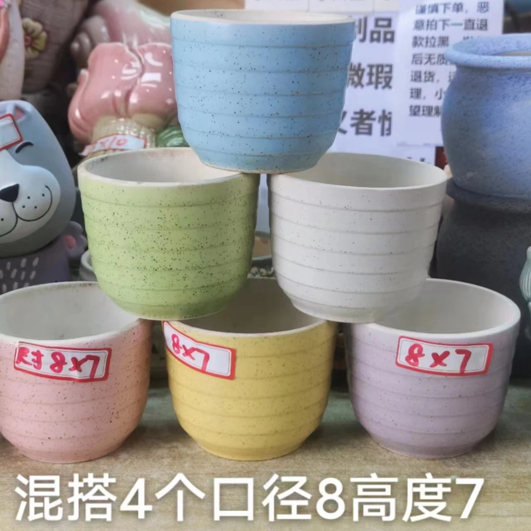 【直播专享】多肉花盆个性捡漏绿植简约阳台家用大清仓彩笋四件套