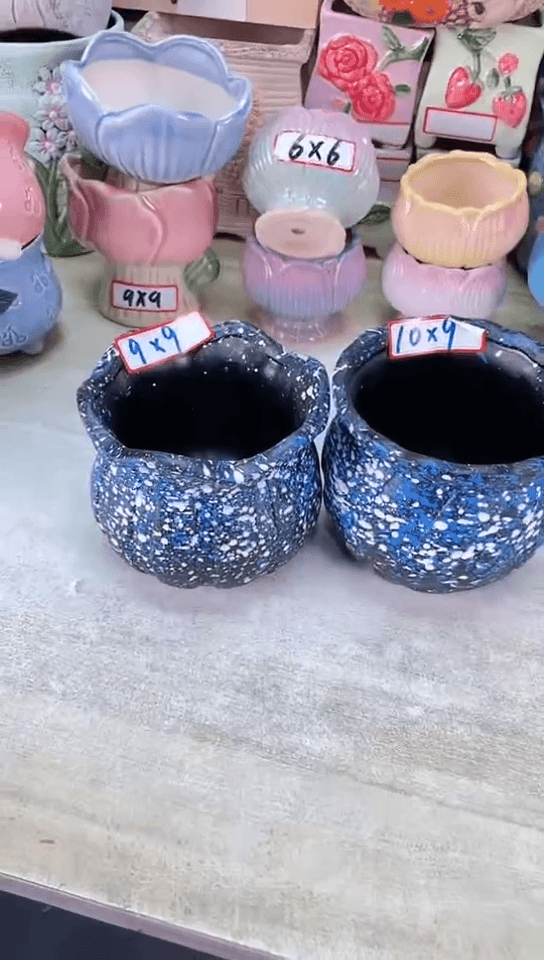 【闪购商品】陶瓷15cm以下@@浩渺花盆2件套