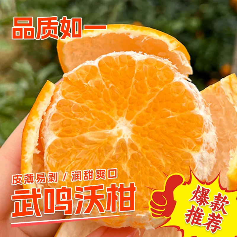 广西武鸣沃柑鲜甜多汁新鲜采摘柑橘当季水果 坏果包赔！