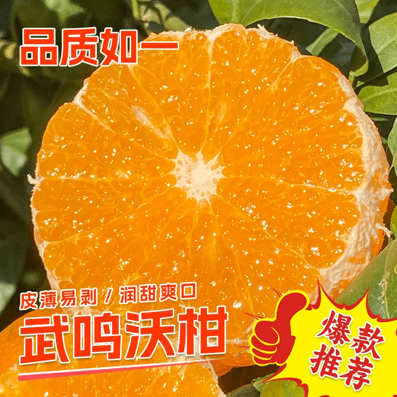 广西武鸣沃柑鲜甜多汁新鲜柑橘15个装60mm+现摘现发坏果包赔