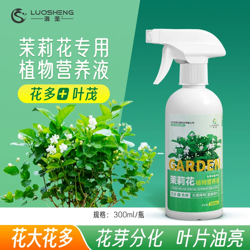 茉莉花专用植物营养液健壮植株花多叶绿叶片油亮园艺通用营养液