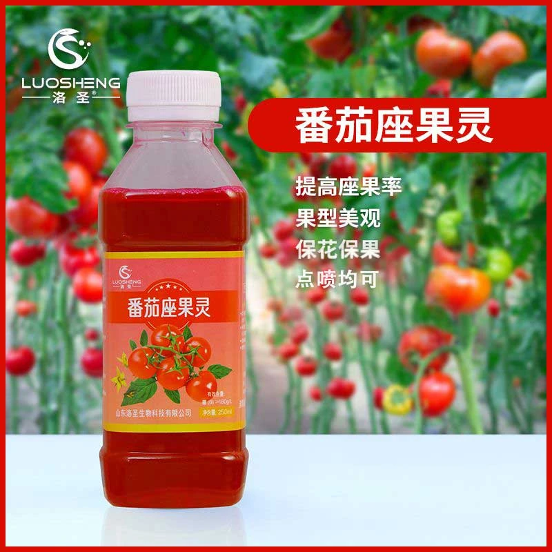番茄授粉座果灵点花促进保花保果防落花栽培提高座果率生物水溶肥