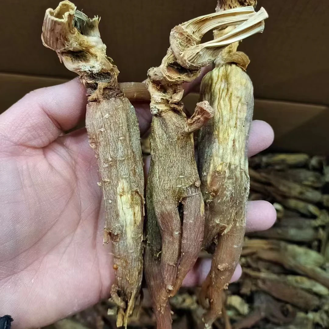 林下参250克（半斤）滋补养生补品 煲汤泡酒泡水浓郁 免费切片