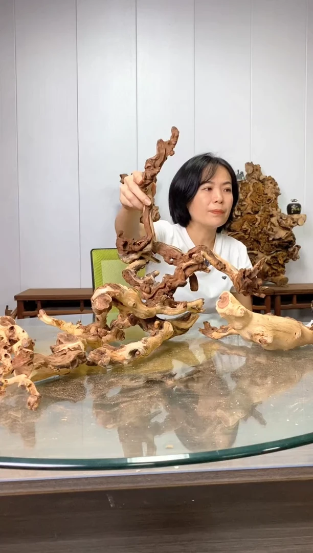 【闪购商品】香榧木枯树摆件 粗磨 粗加工半成品 毛料 25
