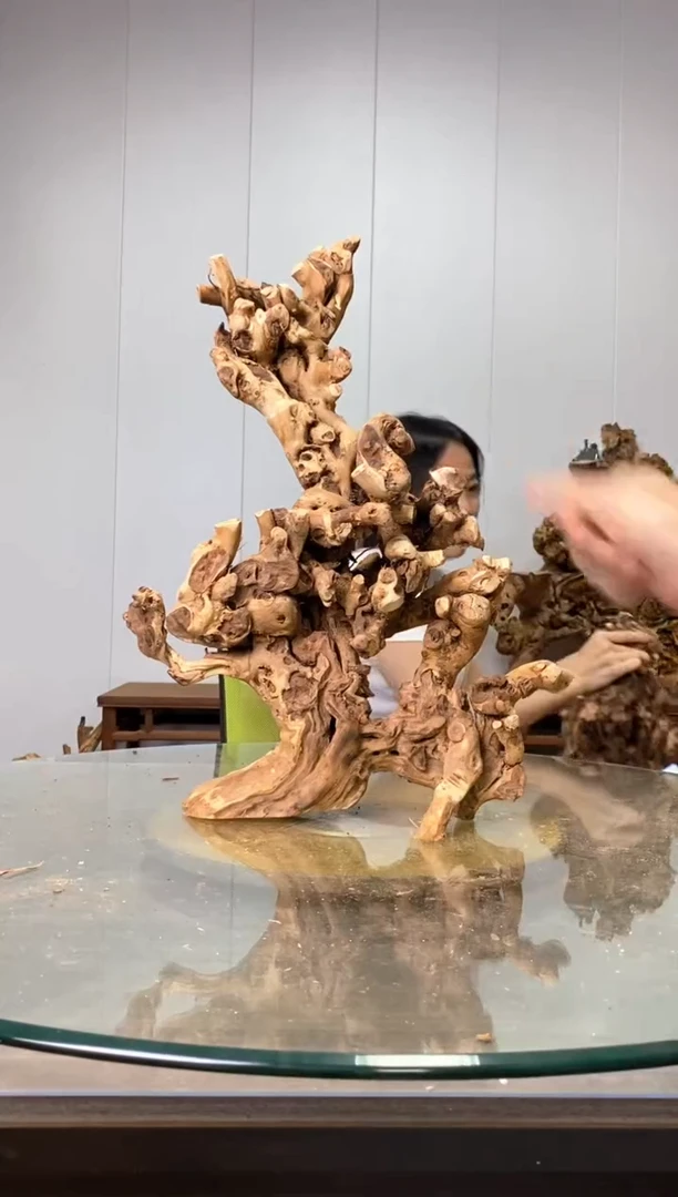 【闪购商品】木枯树摆件 粗磨 粗加工半成品 毛料 75