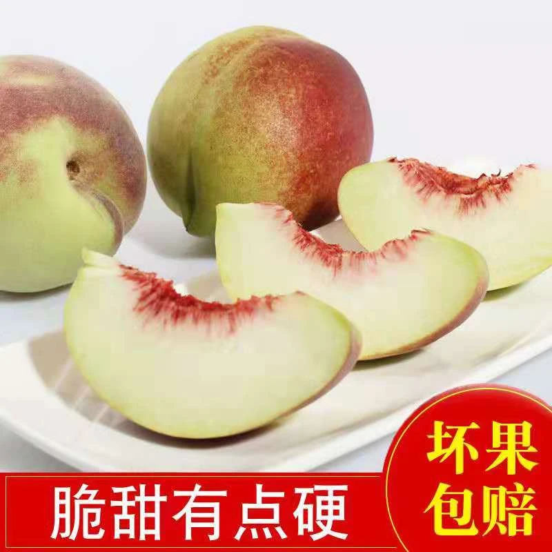 青州小山桃蜜桃毛桃脆甜新鲜水果3斤5斤果园好吃正宗包赔甘甜