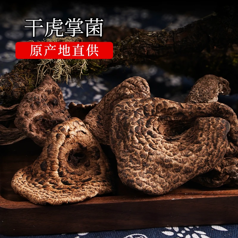 新货黑虎掌菌干货大片煲汤菌菇云南特产食用菌250g非新鲜
