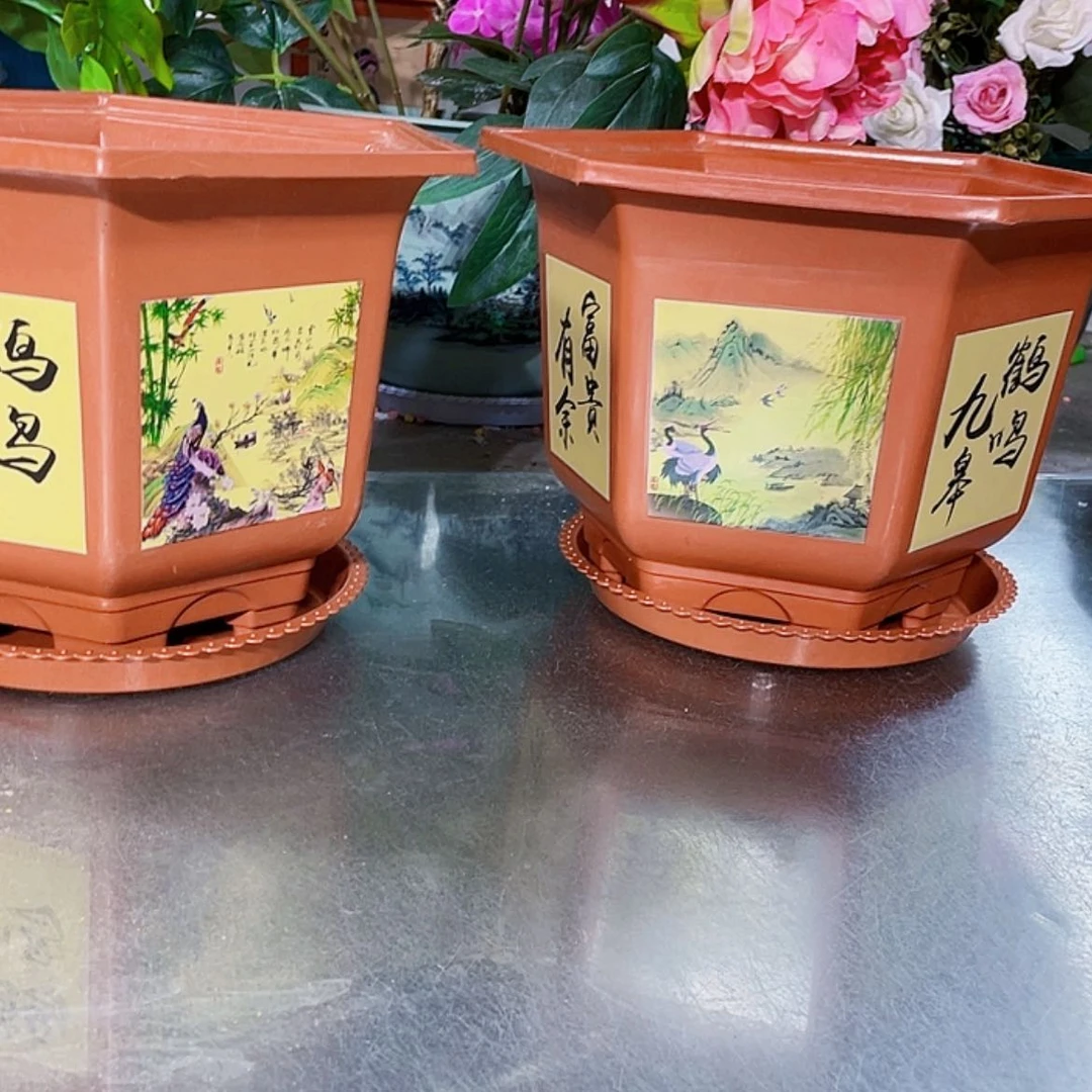 【闪购商品】树脂20CM（含）-50CM（不含）