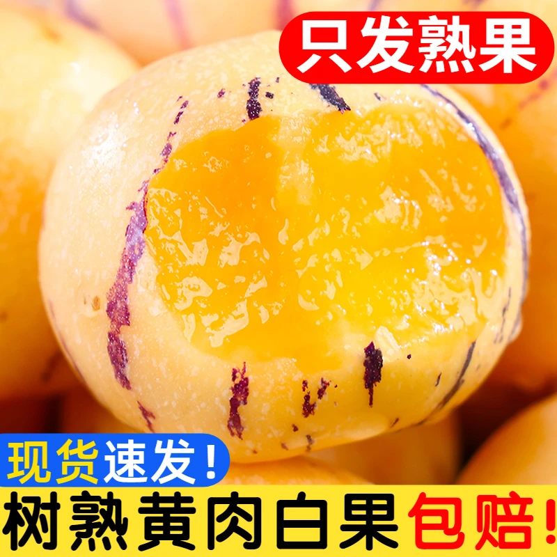 云南石林人参果水果树熟黄果圆果黄肉现摘现发人生果新鲜整箱包邮