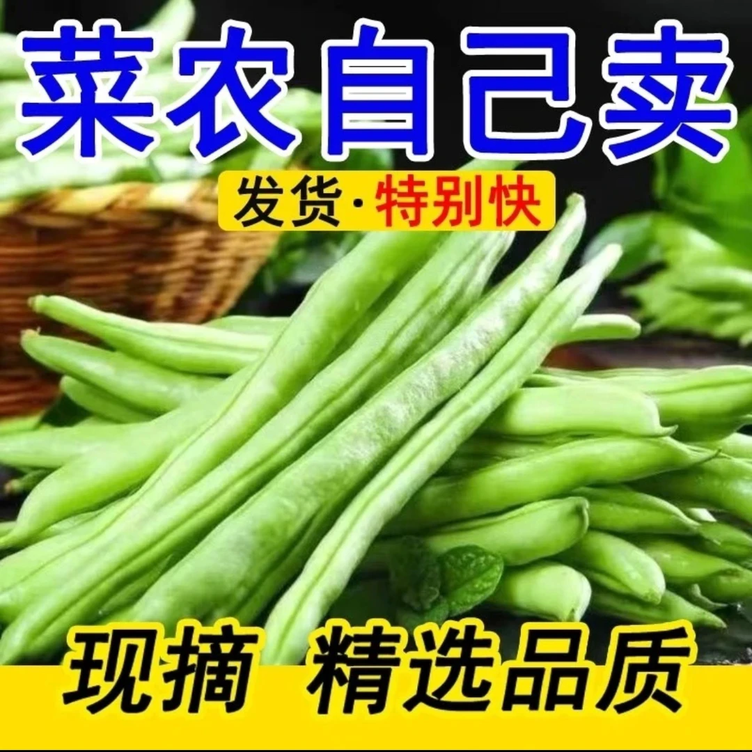 云南四季豆新鲜豆角无筋豆扁豆现摘脆嫩豆角新鲜现发