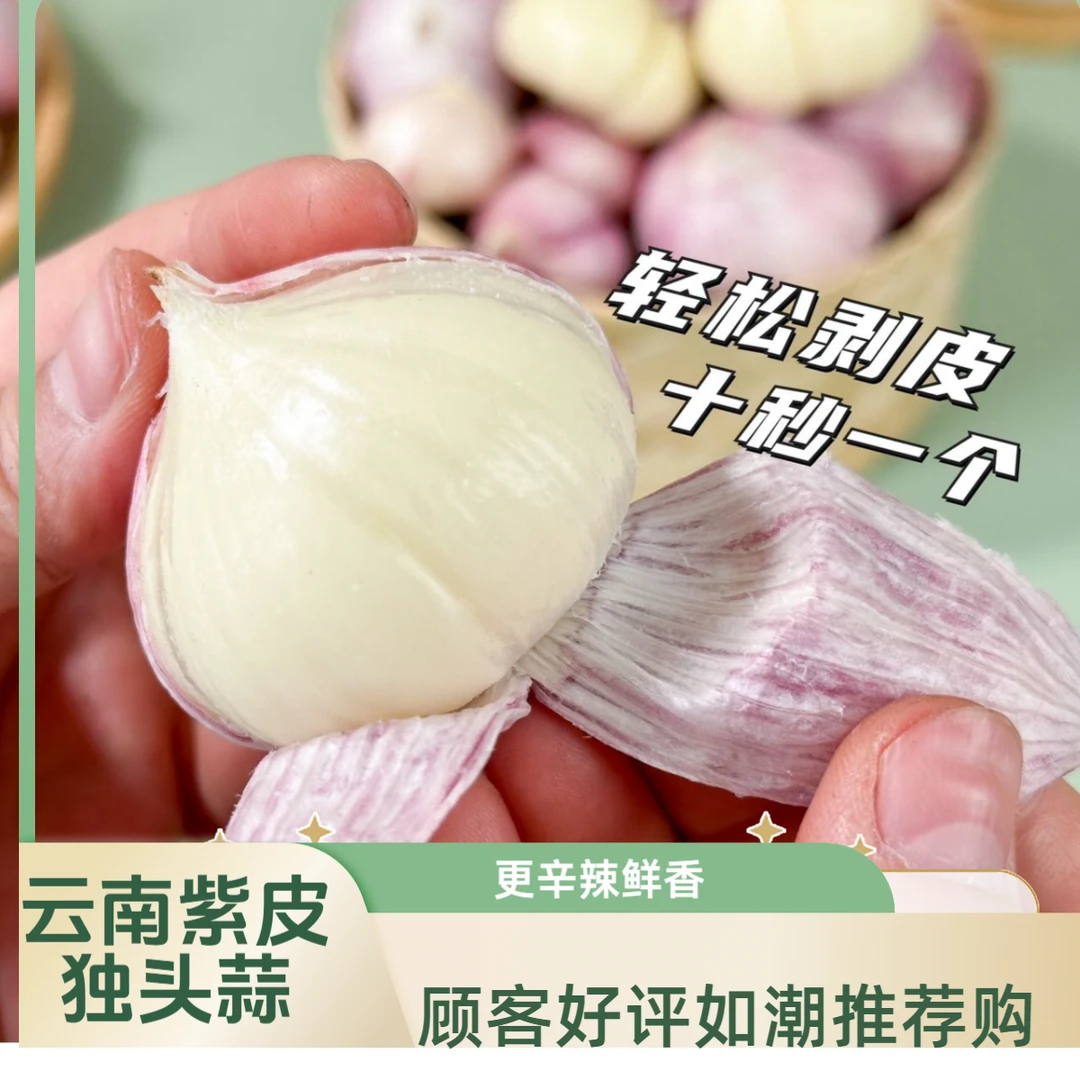 正宗云南大理紫皮蒜 新鲜大蒜独头紫皮蒜 紫皮独头蒜新鲜现挖包邮