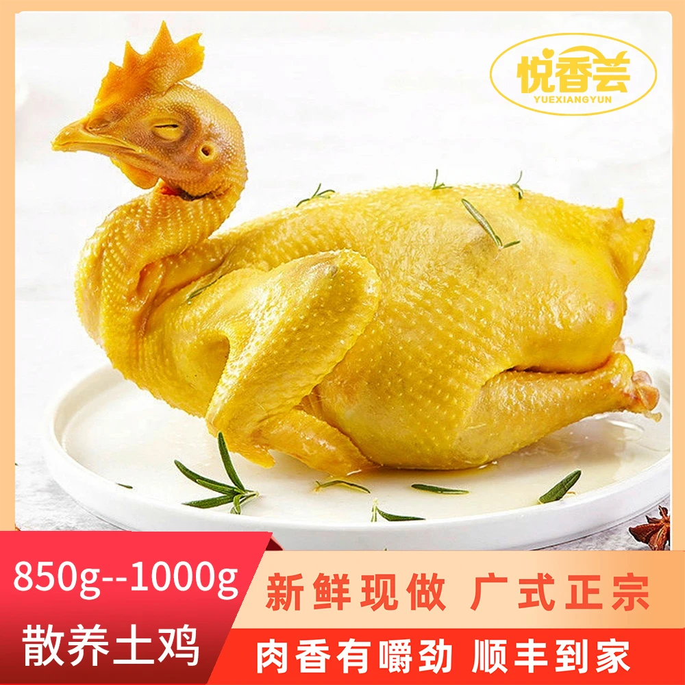 【海娇专属】农家古法五指毛桃咸香鸡整只熟食手撕850g–1000g