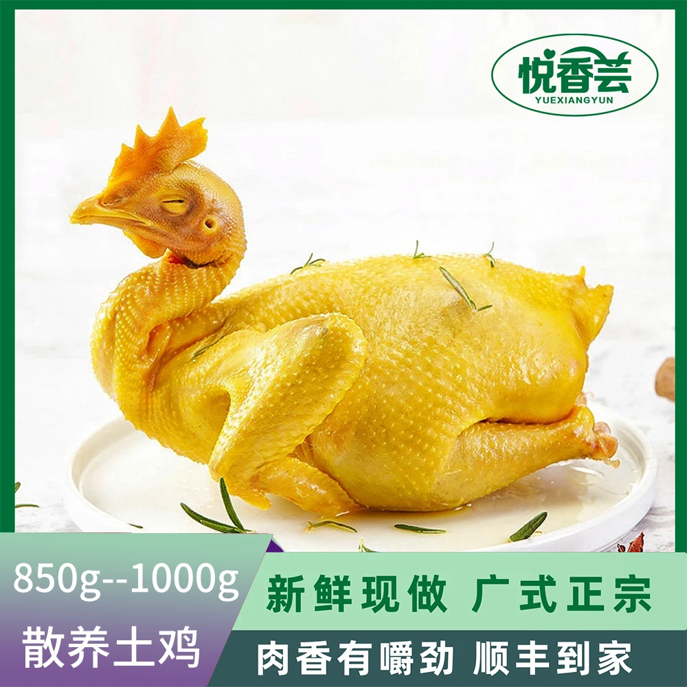 【可可姐专属】农家古法五指毛桃咸香鸡手撕熟食850g–1000g
