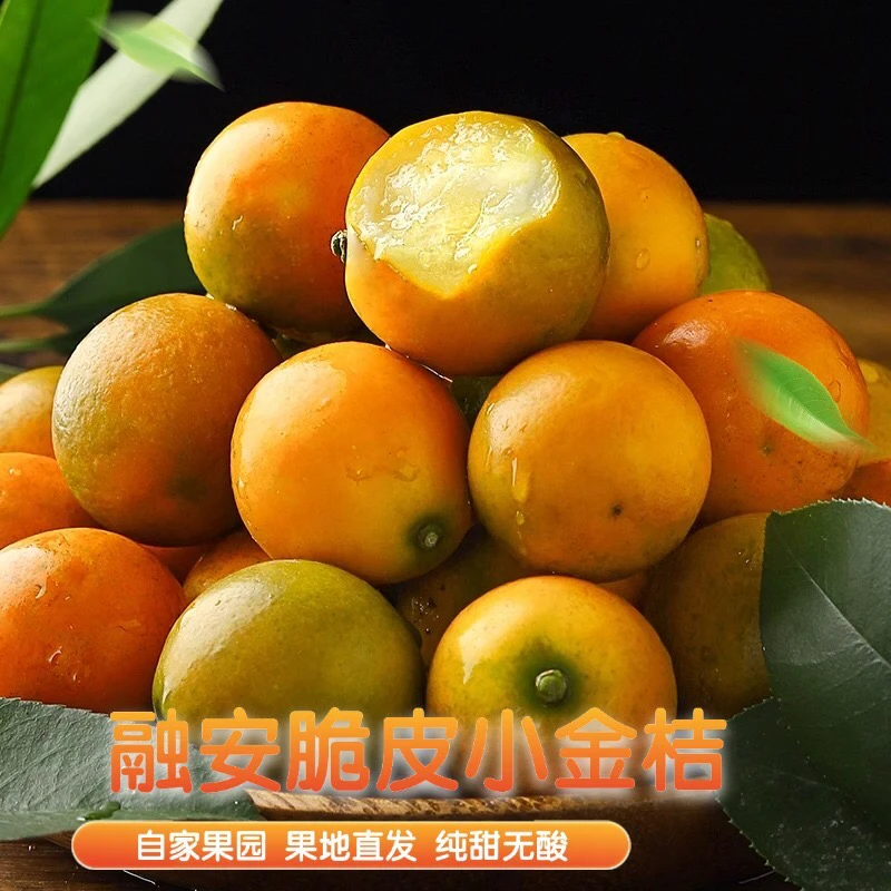 【精品礼盒装】广西融安脆皮金桔滑皮金桔脆甜无酸新鲜水果二代金桔