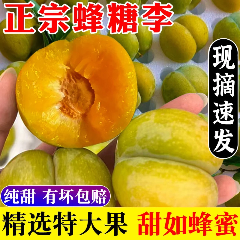 【京东冷链】正宗蜂糖李子新鲜水果精品产地直发甜蜜多汁