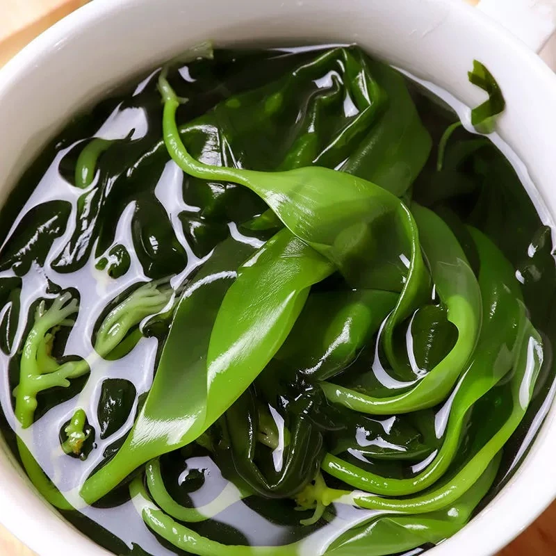 霞浦美味海带苗嫩苗鲜嫩营养凉拌菜火锅食材老人婴幼儿裙带菜脆爽