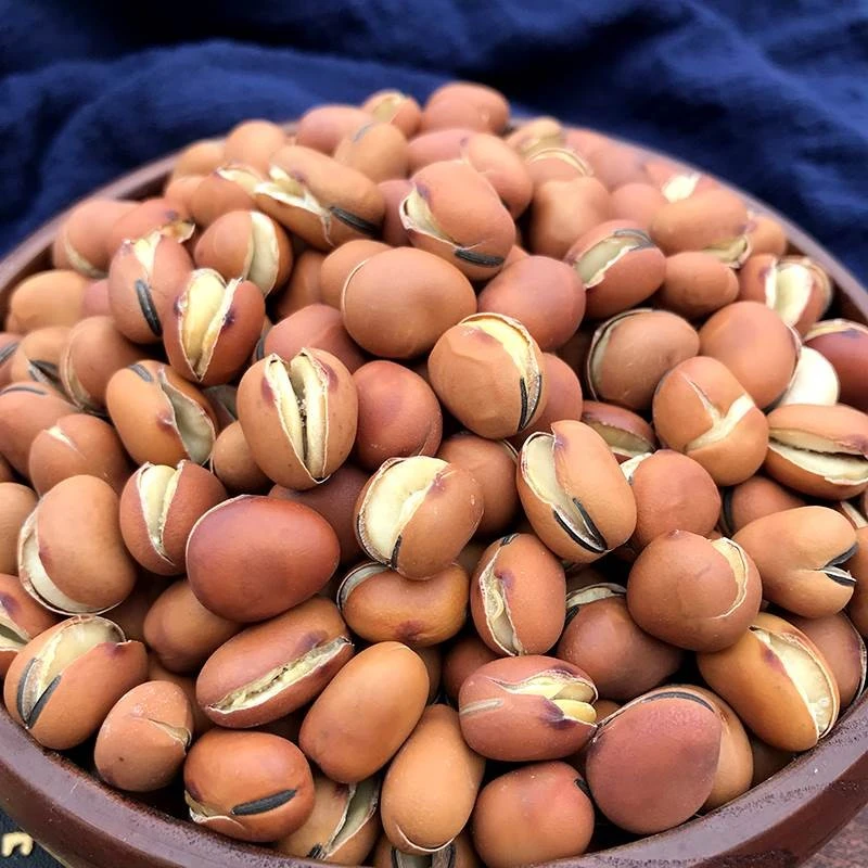 炒胡豆原味龙眼豆农家手工蚕豆兰花豆零食怀旧老式沙胡豆散装干货