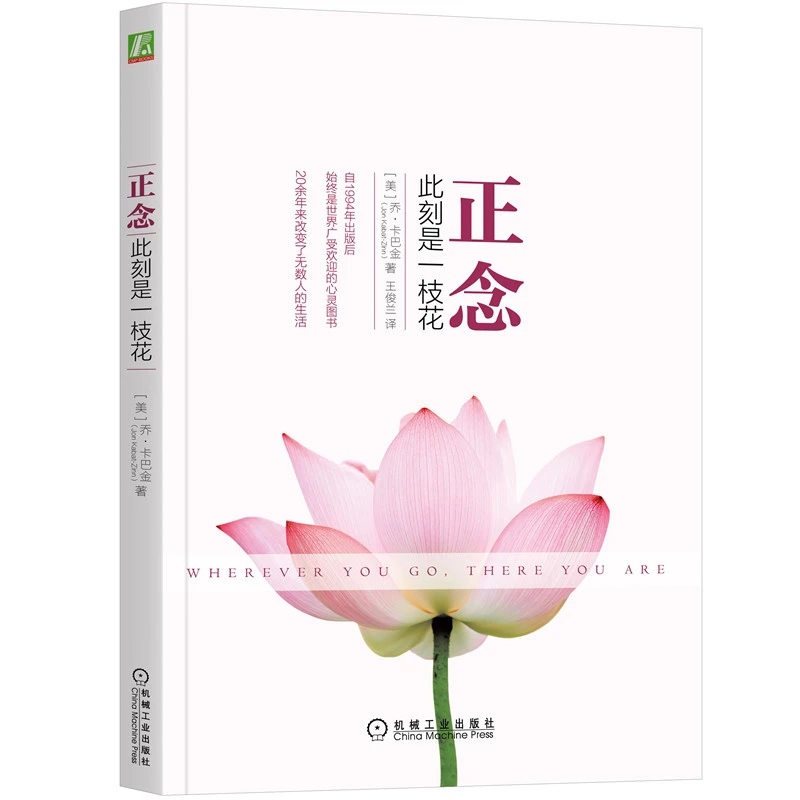 正念：此刻是一枝花    本书适合生活压力大、需要减压的读者阅读