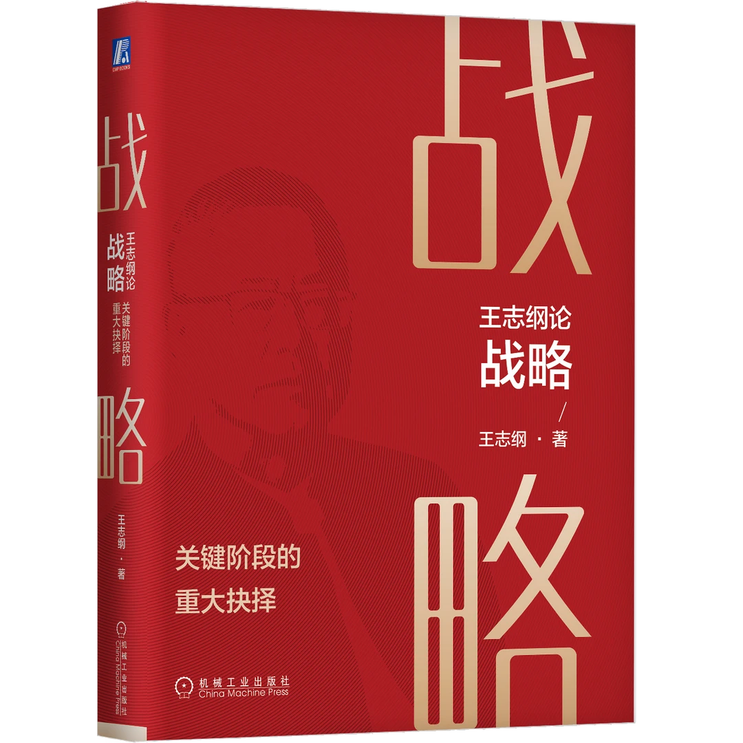 王志纲论战略:关键阶段的重大抉择 官方正版 战略认知战略分析