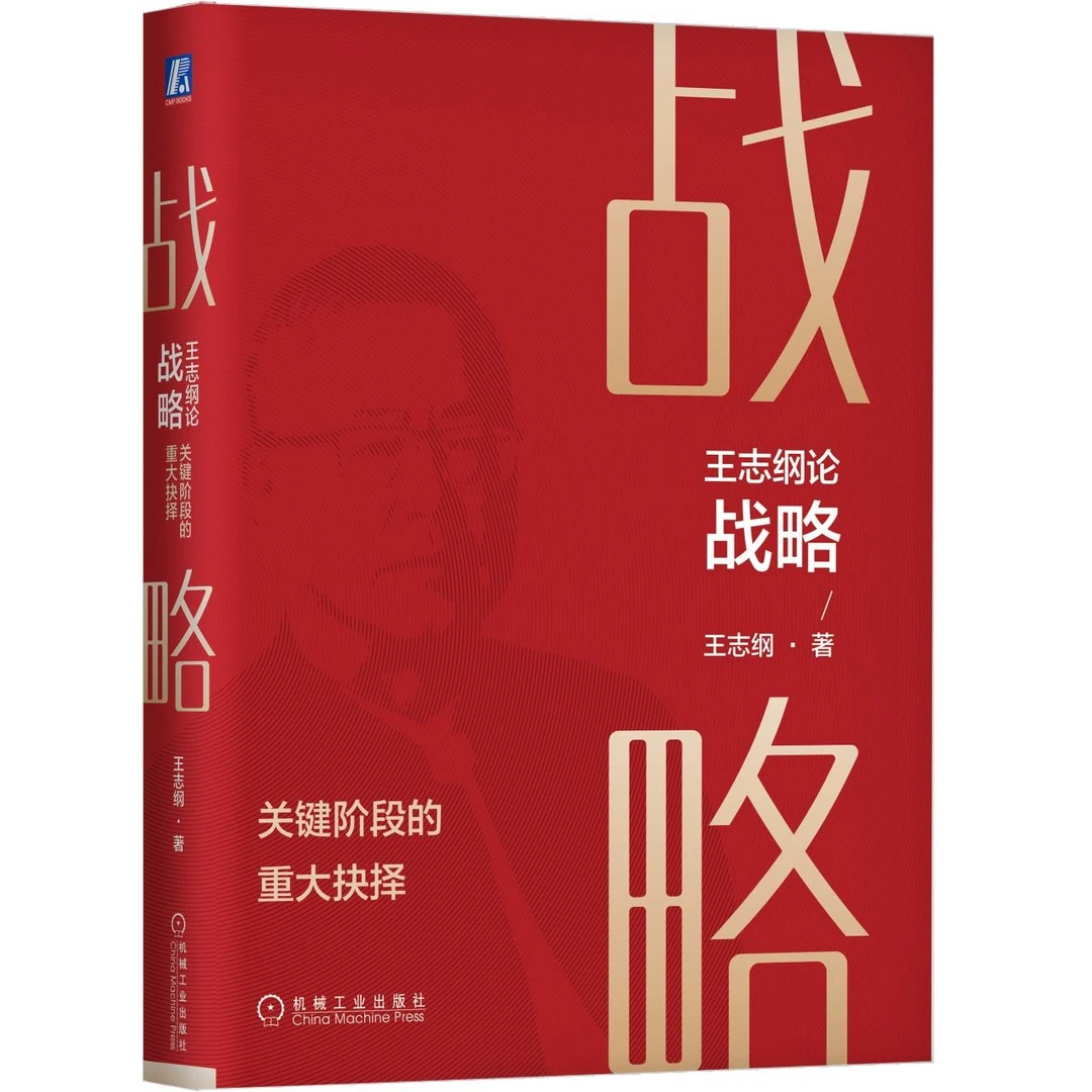 王志纲论战略:关键阶段的重大抉择 龙永图 周其仁 中国式发展之路