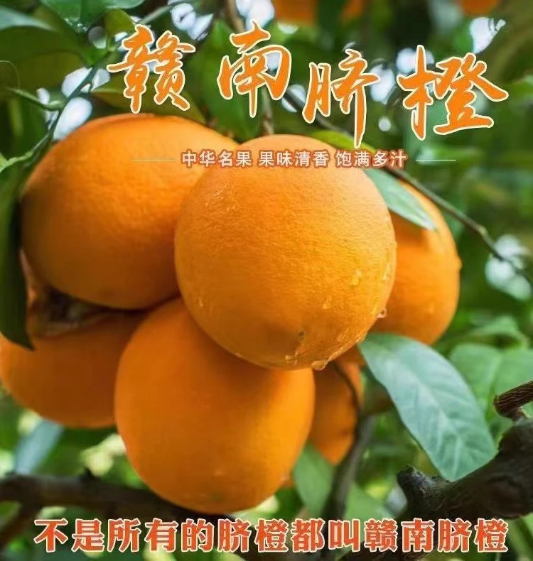 福利款5斤的江西赣南脐橙新鲜应季水果橙子正宗赣州
