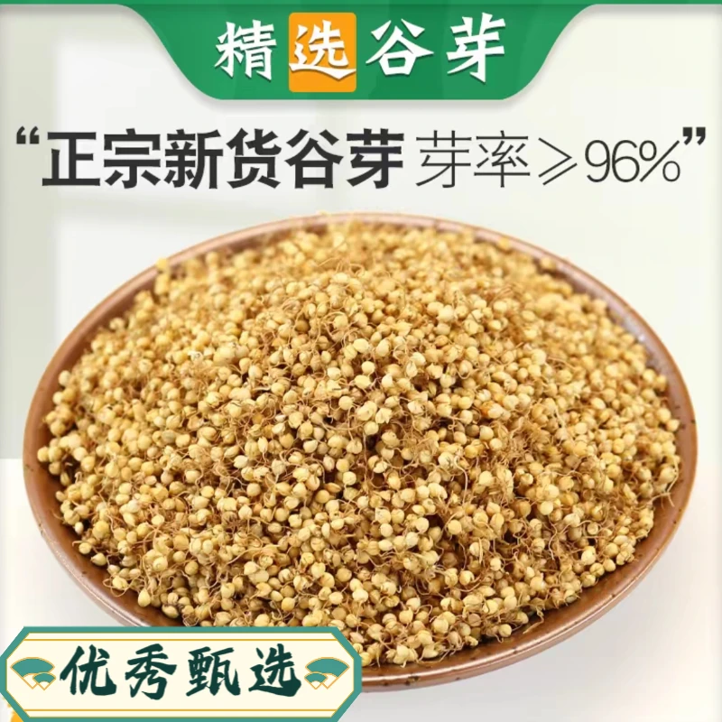 优秀甄选【谷芽】高品质 生谷芽焦谷芽 另售陈皮稻芽麦芽山楂