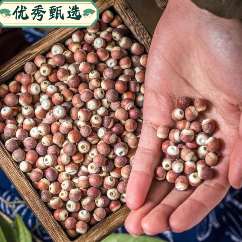 【优秀甄选】芡实干货大粒中园粒250克/500克生芡实鸡头米