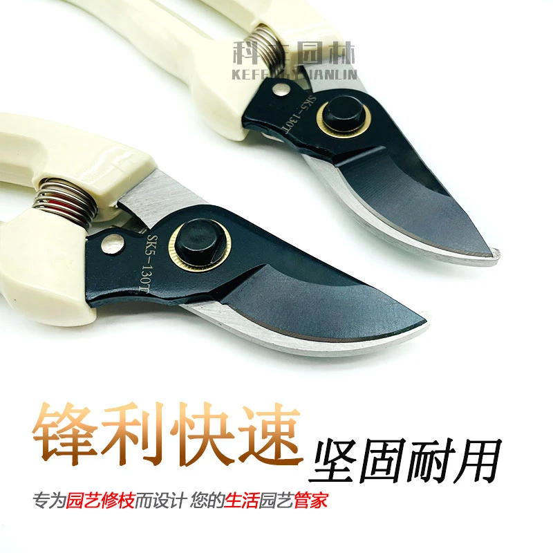 剪枝剪园艺剪刀盆景修剪树枝园林修剪树枝茉莉花醒花方法修剪剪刀