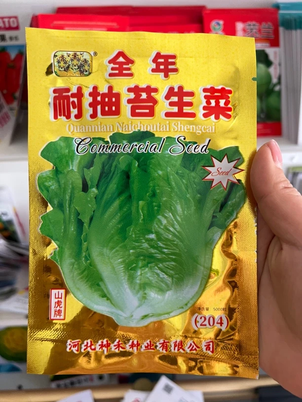 耐抽苔生菜5000粒左右