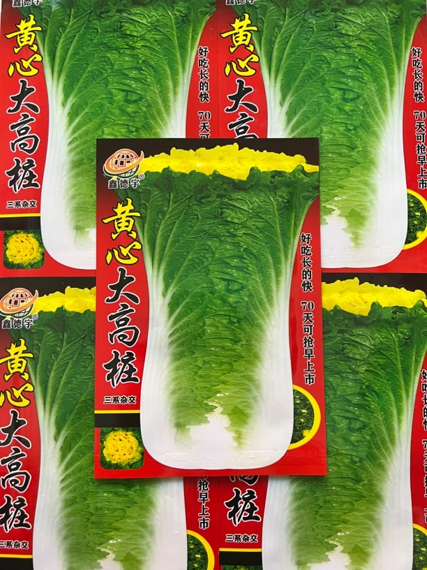 黄心大高桩白菜籽20克