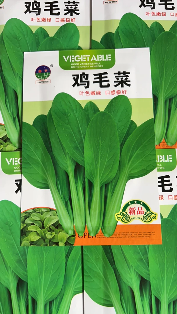 鸡毛菜种子四季可种