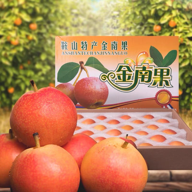 精品南果梨鞍山特产细皮南果梨海城南国梨送礼款精品装24颗