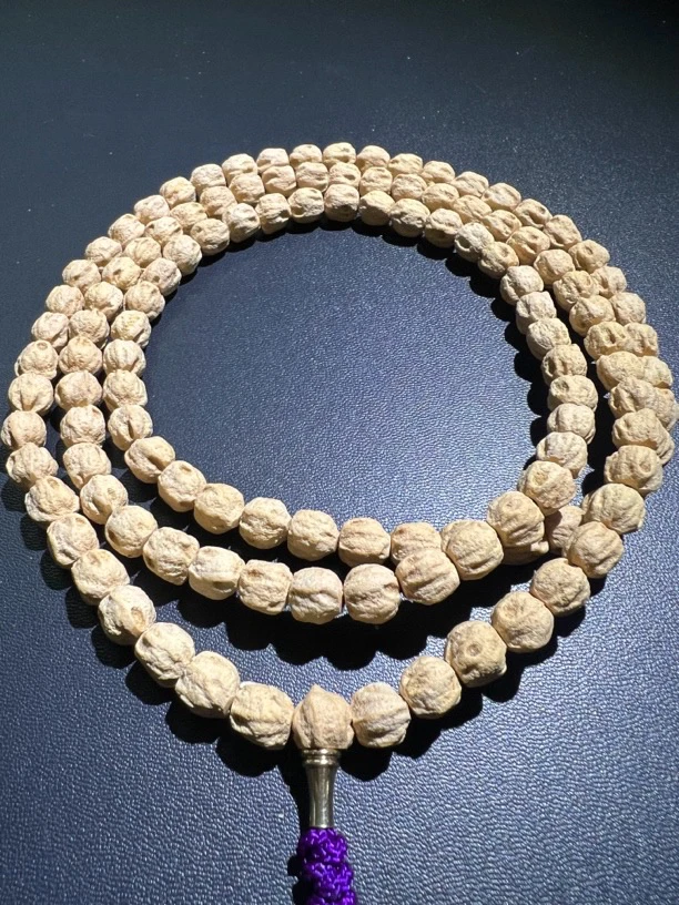 百香籽，精挑细选. 微切鬼脸. 尺寸7+