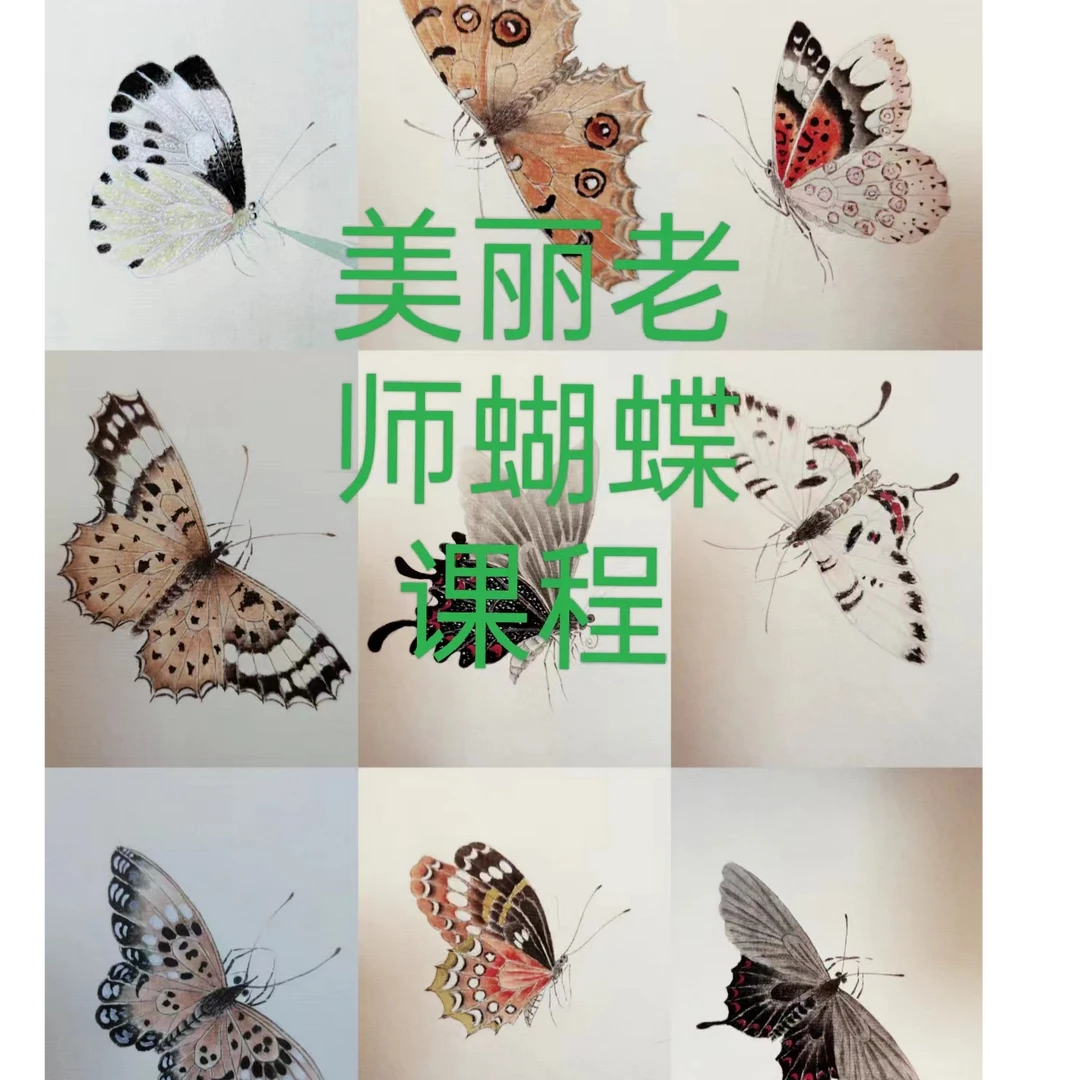 美丽老师草虫技法系列~ 蝴蝶