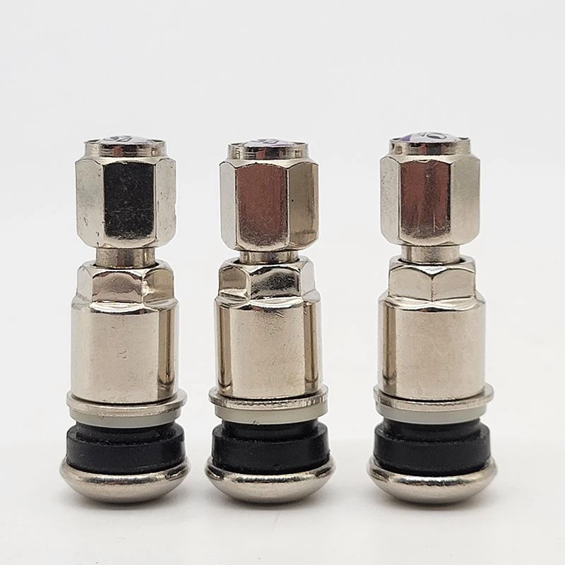 轮胎气门嘴不锈钢防爆气门嘴真空胎气门嘴电动车摩托车轮胎气门嘴