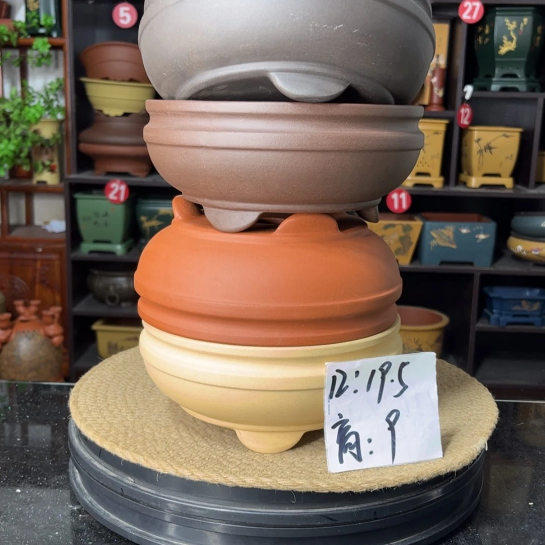 【闪购商品】紫砂15cm以下