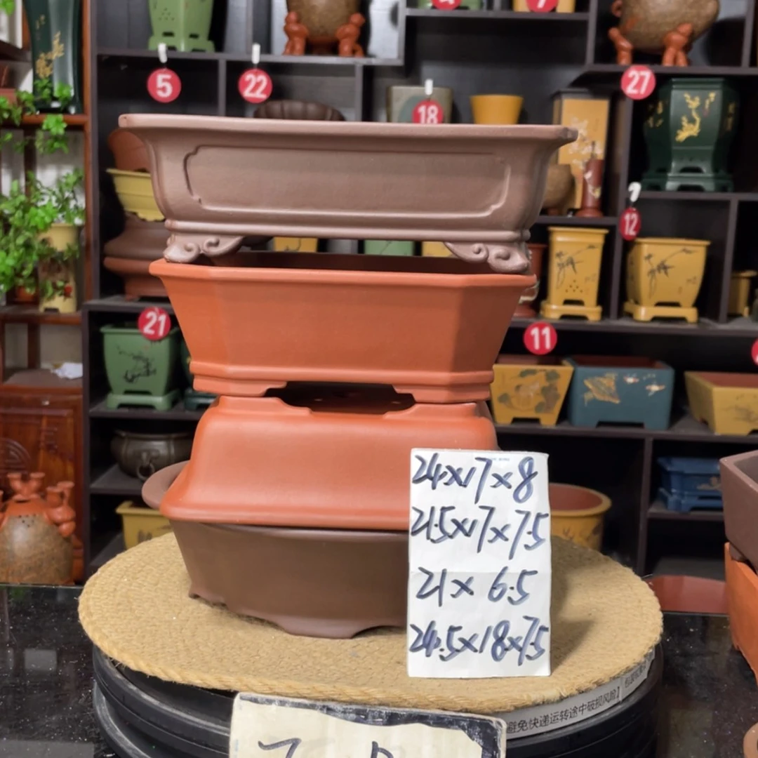 【闪购商品】紫砂15cm以下