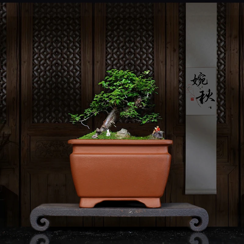 紫砂花盆兰花陶瓷盆景盆四方盆中号纯紫泥简约桌面盆栽正方形花盆