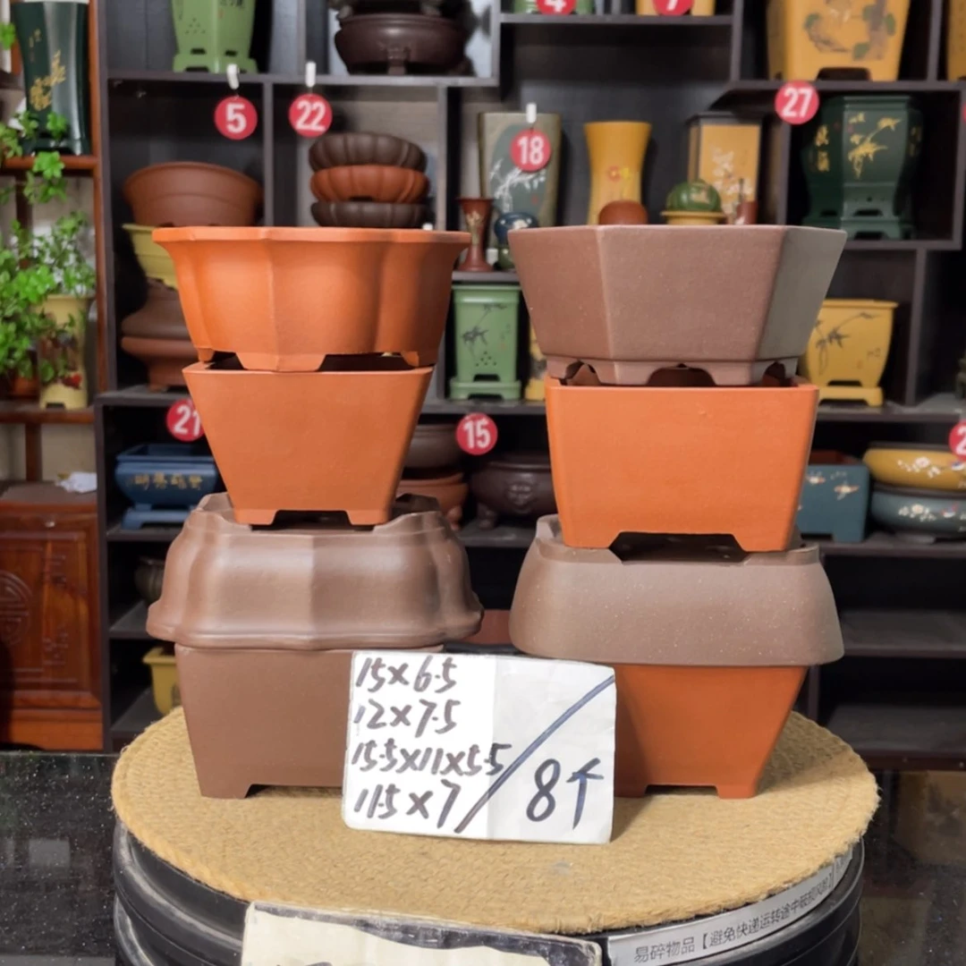 【闪购商品】紫砂15cm以下