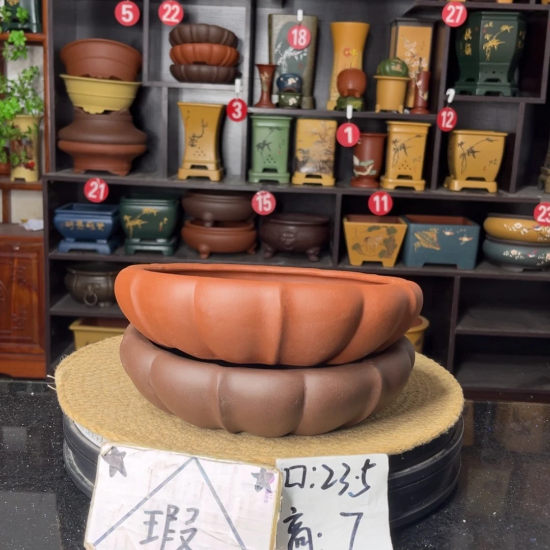【闪购商品】紫砂15cm以下