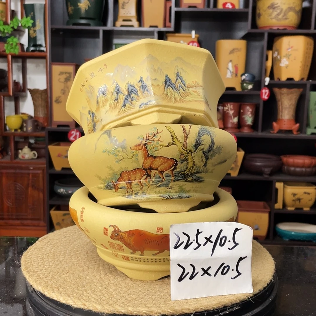 紫砂20CM（含）-50CM（不含）
