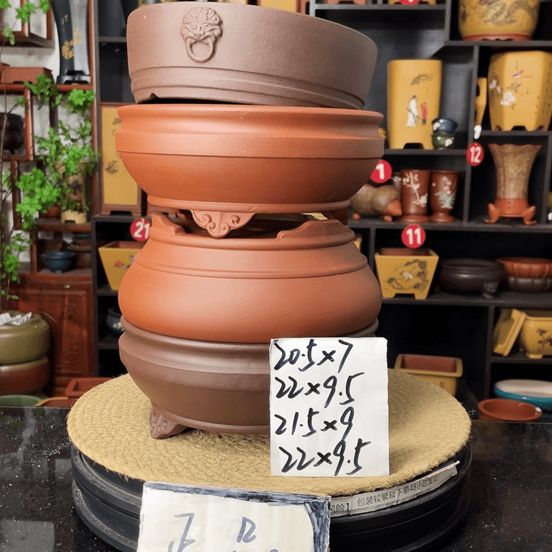 紫砂20CM（含）-50CM（不含）