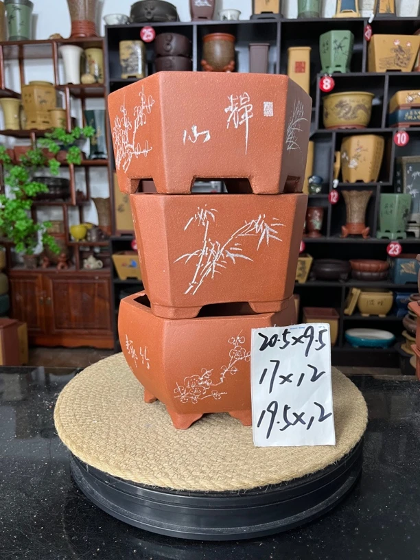 盆尚好花盆1直播链接
