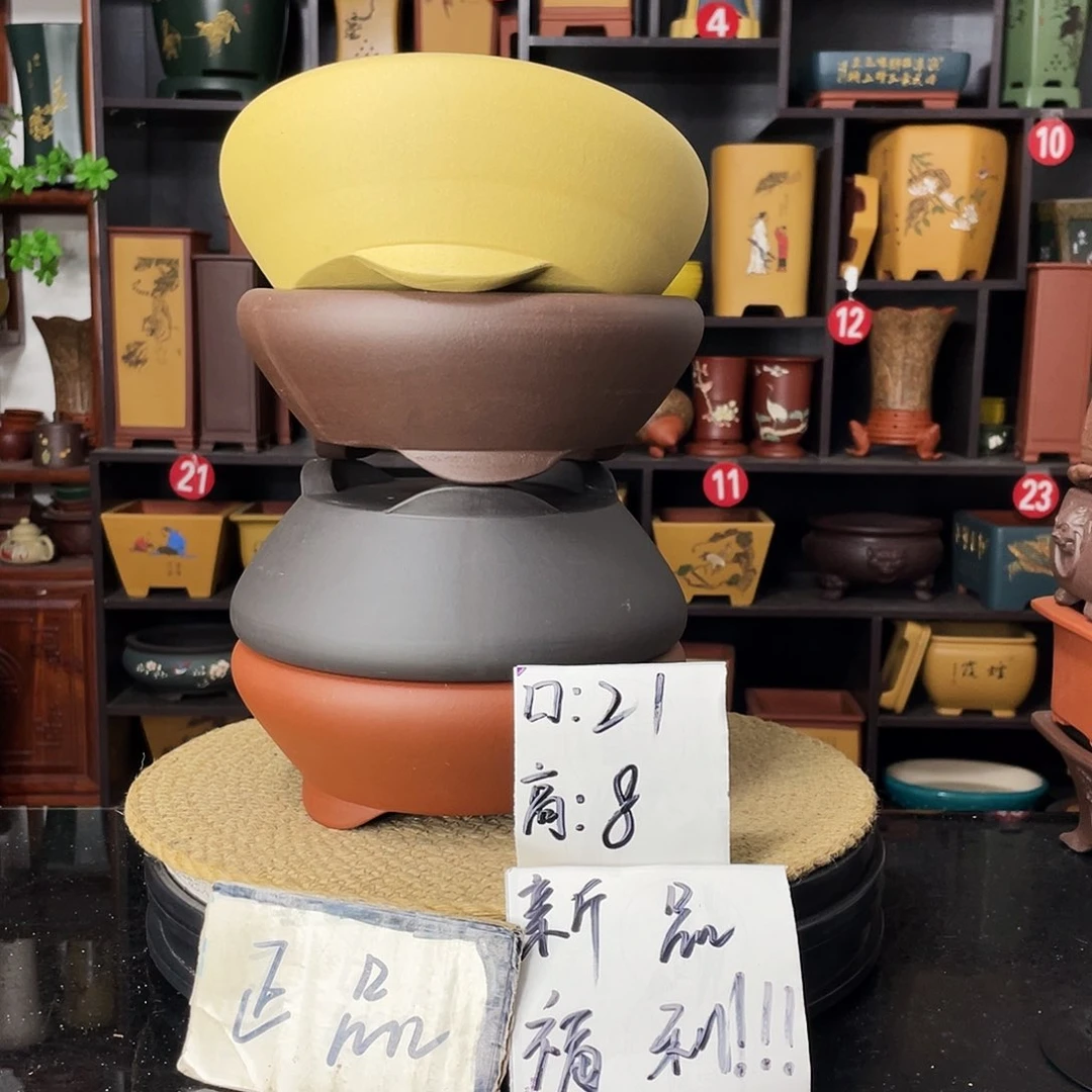 紫砂20CM（含）-50CM（不含）