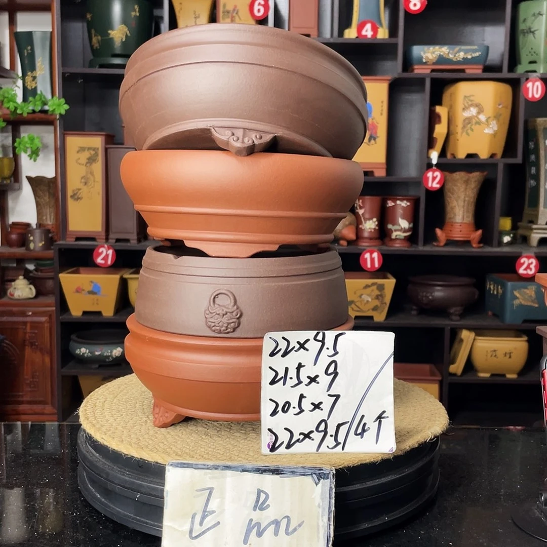 紫砂20CM（含）-50CM（不含）