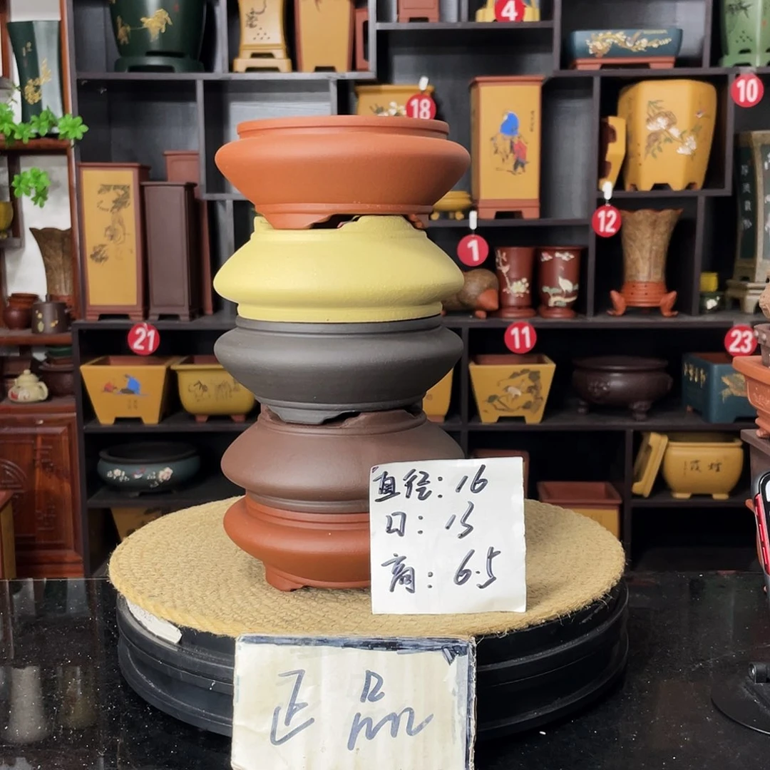 紫砂20CM(含)-50CM(不含)
