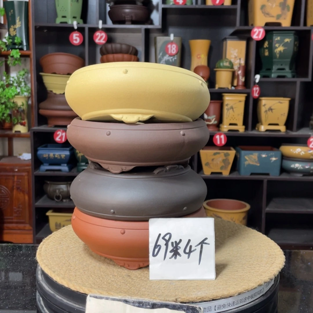 【闪购商品】紫砂15cm以下