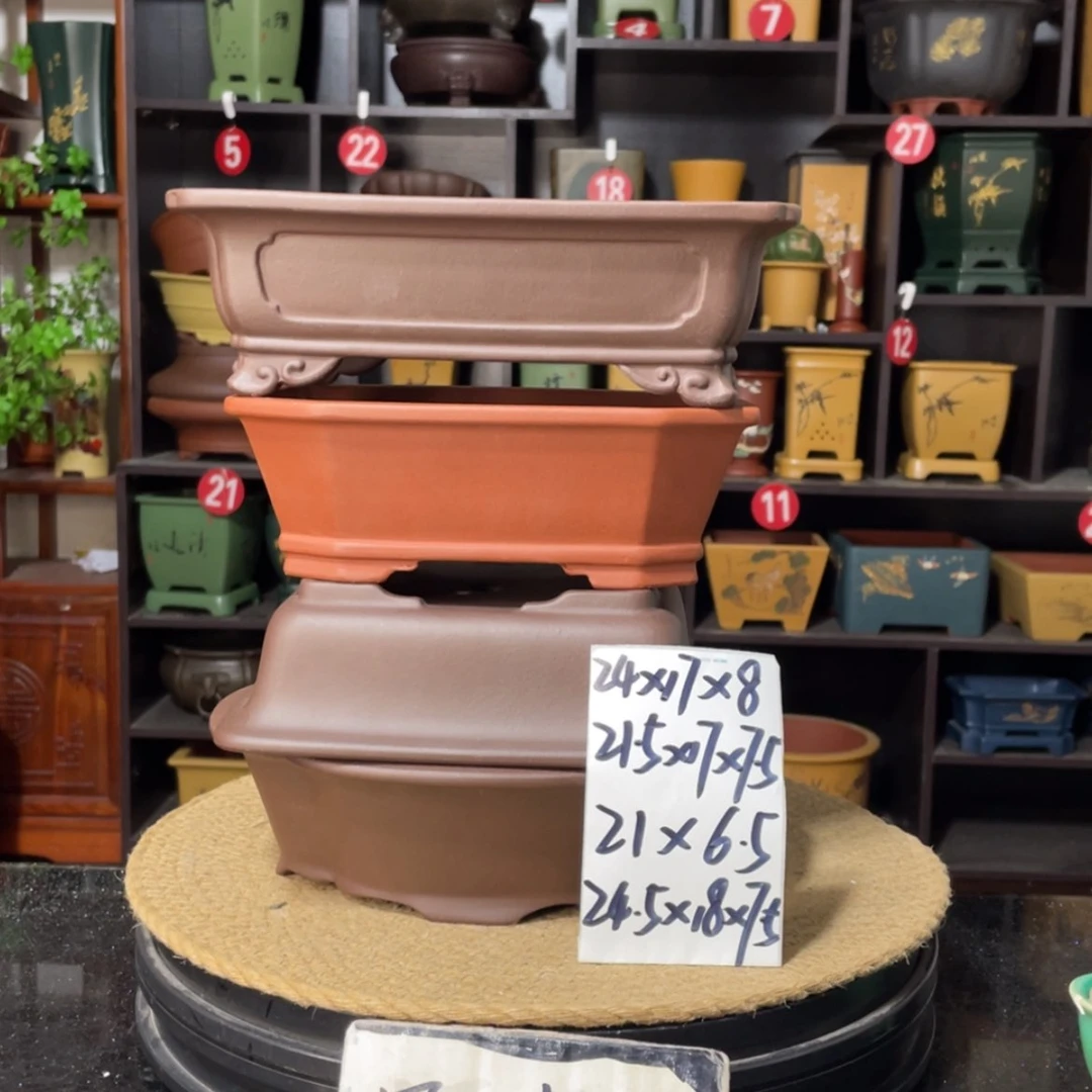 【闪购商品】紫砂15cm以下
