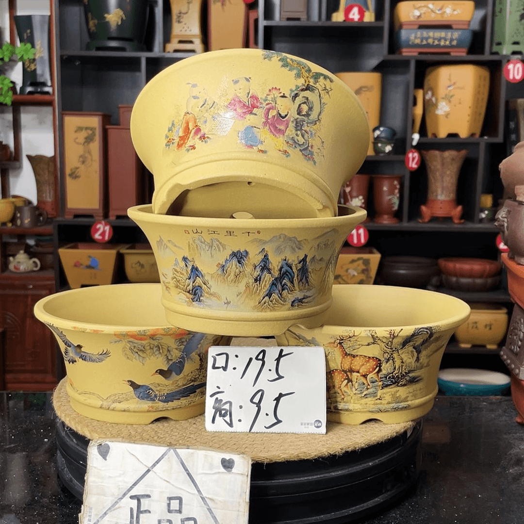 红陶20CM（含）-50CM（不含）