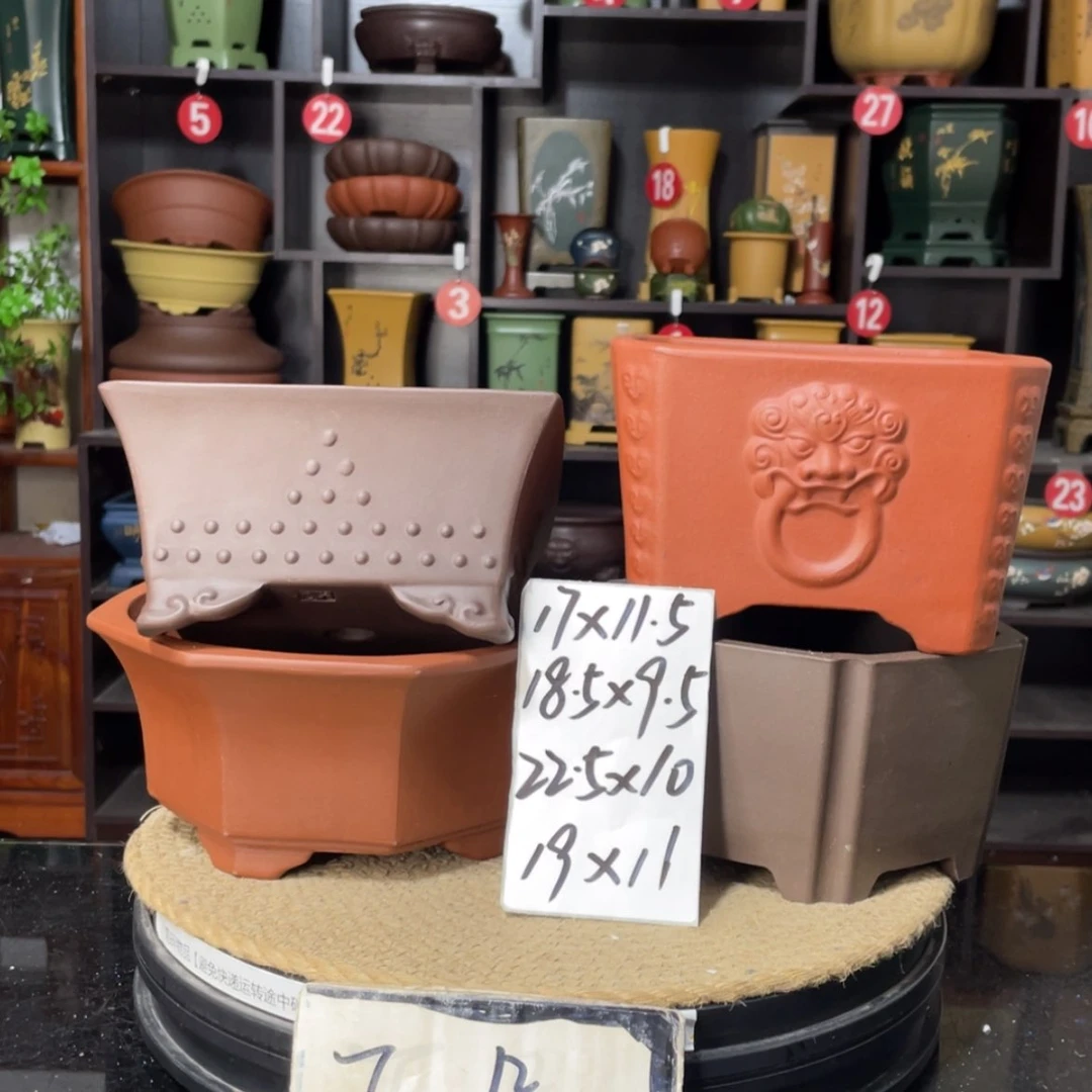【闪购商品】紫砂15cm以下
